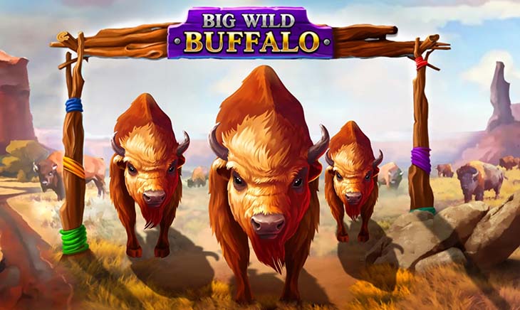 Big Wild Buffalo